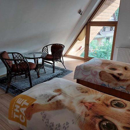 Apartamenty Cede Закопане Екстериор снимка