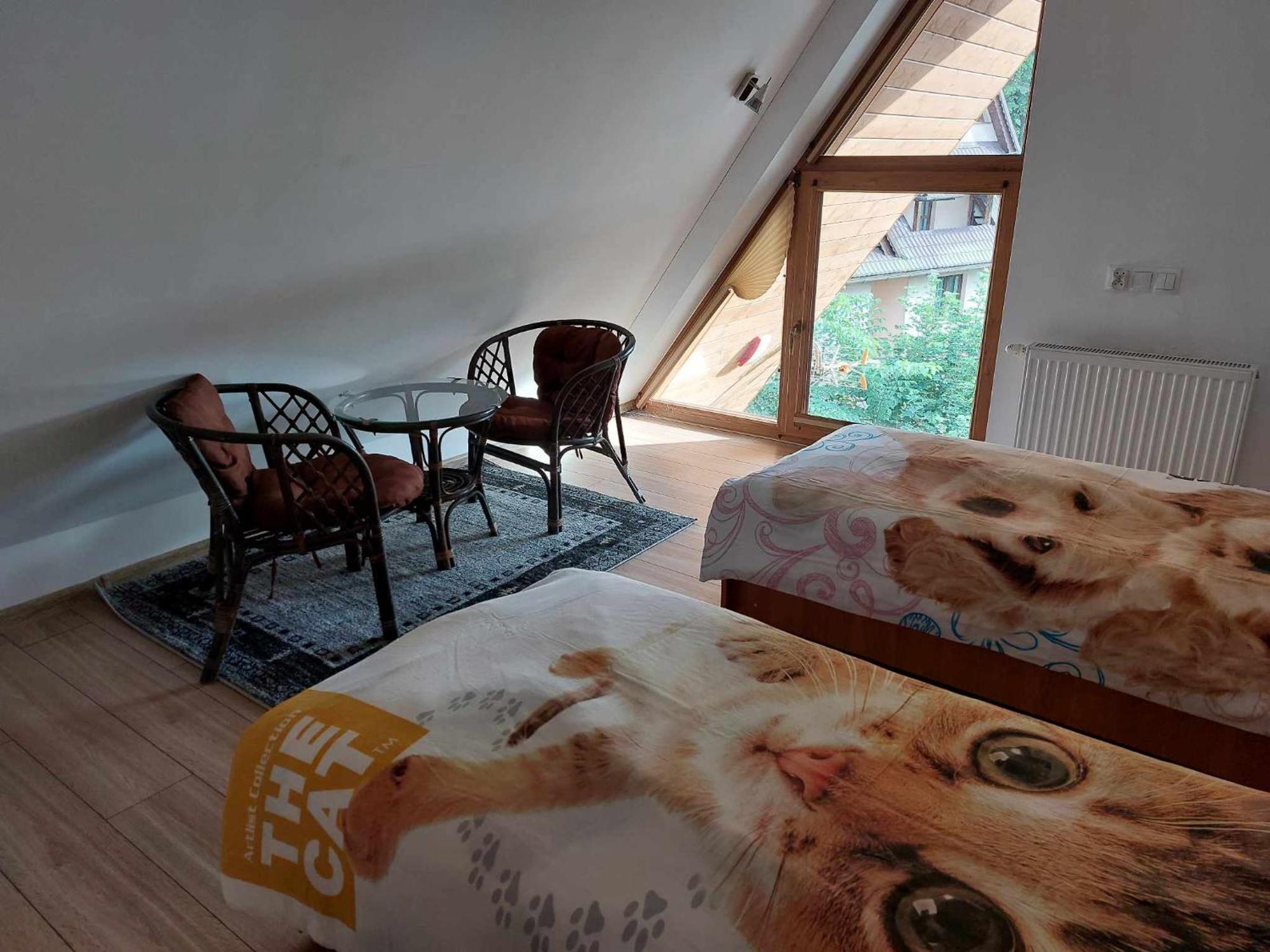 Apartamenty Cede Закопане Екстериор снимка